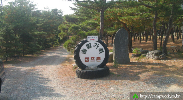 양양 솔밭 가족캠프촌(카라반)