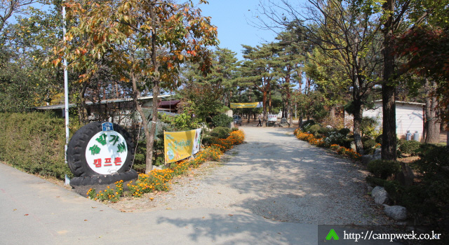 양양 솔밭 가족캠프촌(카라반)