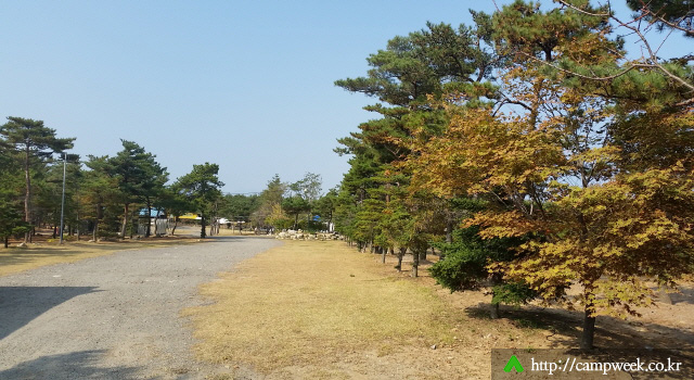 양양 솔밭 가족캠프촌(카라반)