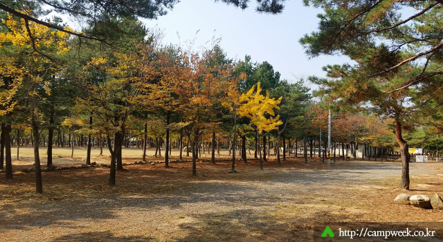 양양 솔밭 가족캠프촌(카라반)