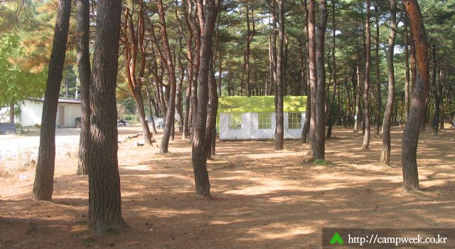 양양 솔밭 가족캠프촌(카라반)