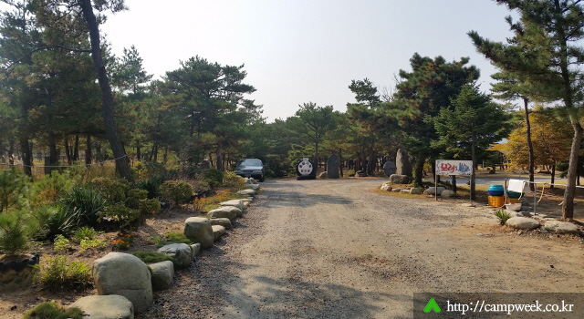 양양 솔밭 가족캠프촌(카라반)