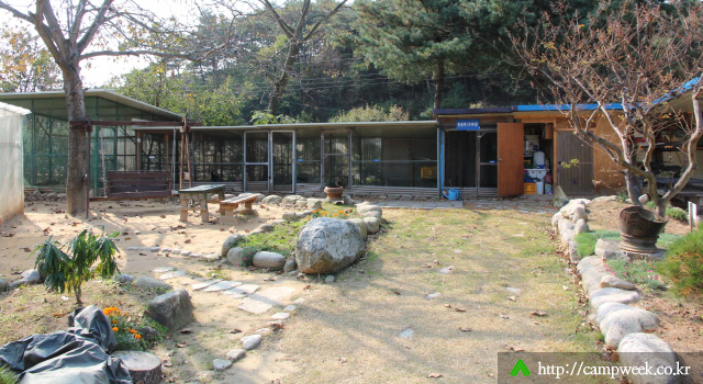 양양 솔밭 가족캠프촌(카라반)