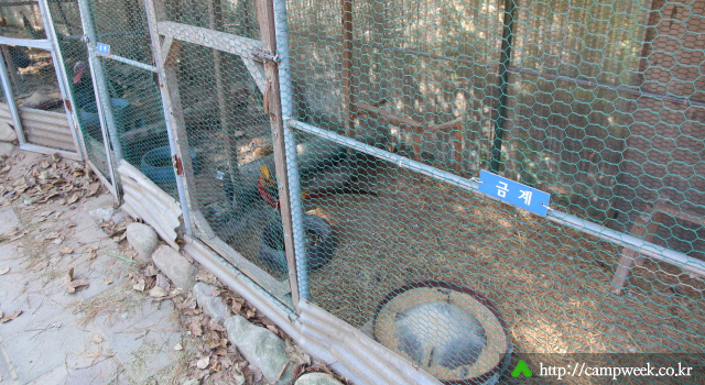 양양 솔밭 가족캠프촌(카라반)