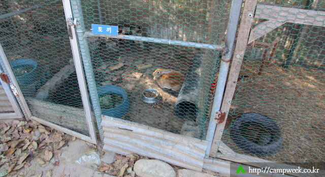 양양 솔밭 가족캠프촌(카라반)