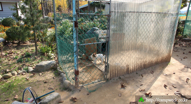 양양 솔밭 가족캠프촌(카라반)