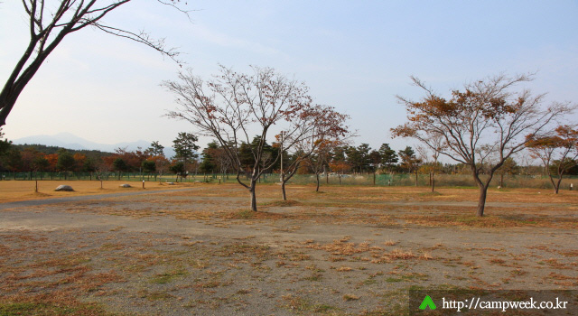 양양 바다캠프장 양양 바다캠프장