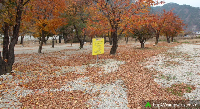 돌배 야영장 돌배 야영장
