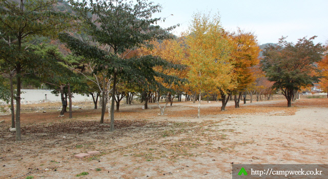 돌배 야영장 돌배 야영장