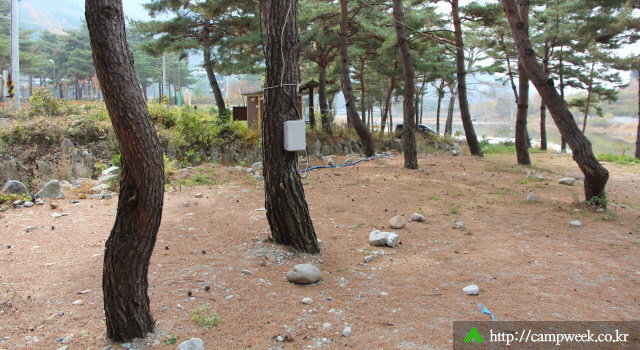 돌배 야영장 돌배 야영장