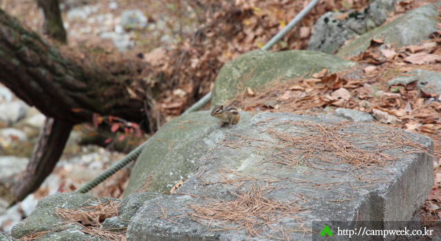 인제 폭포야영장 인제 폭포야영장