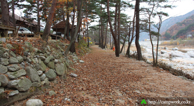 설악 오토 캠핑장(솔방울 펜션)