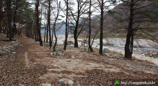 설악 오토 캠핑장(솔방울 펜션)