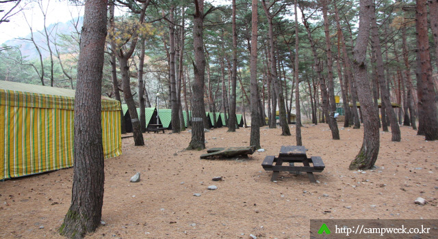 백담 오토캠프장