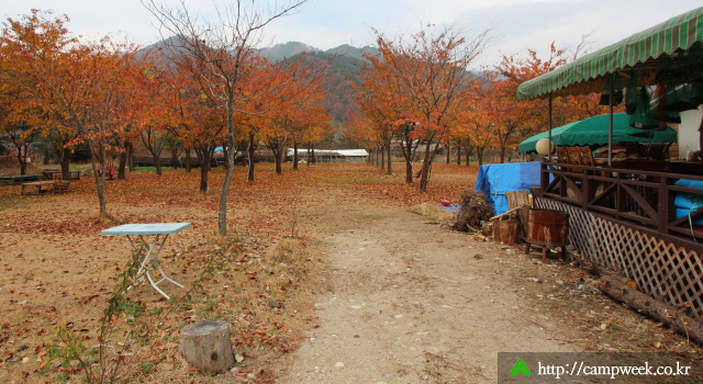 돈뮤 오토캠핑장 돈뮤 오토캠핑장