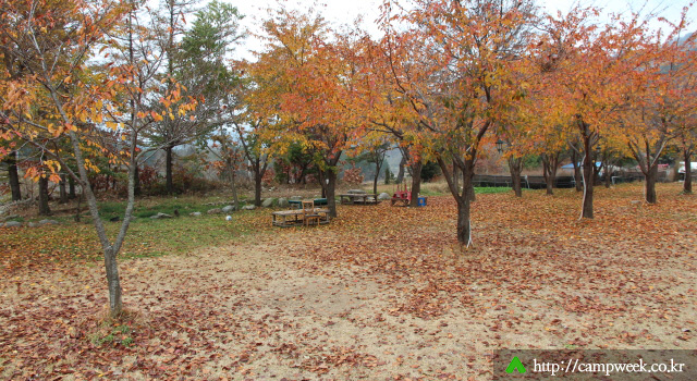 돈뮤 오토캠핑장 돈뮤 오토캠핑장
