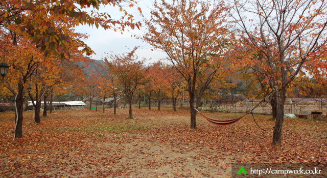 돈뮤 오토캠핑장 돈뮤 오토캠핑장