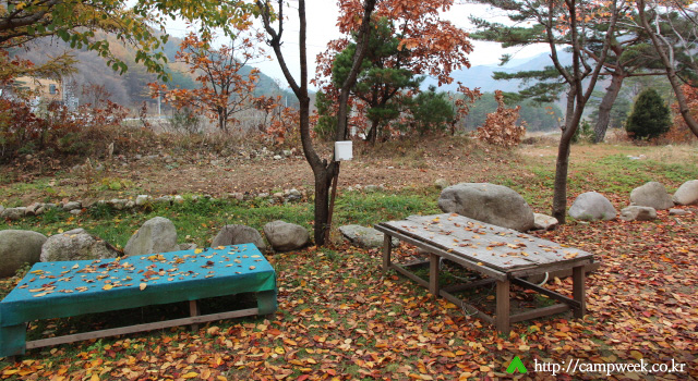 돈뮤 오토캠핑장 돈뮤 오토캠핑장