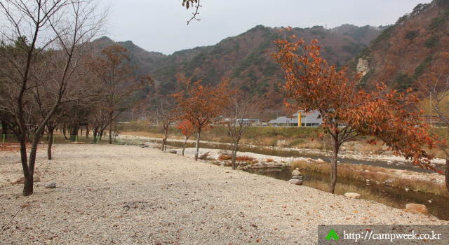 구만동오토캠핑장