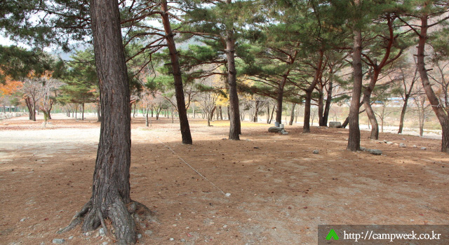 구만동오토캠핑장