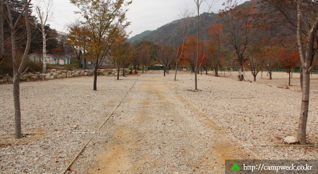 구만동오토캠핑장