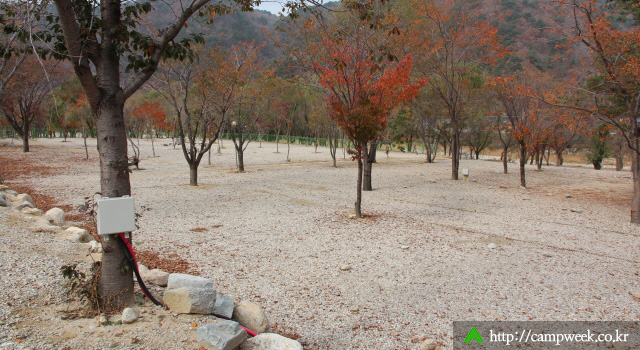 구만동오토캠핑장