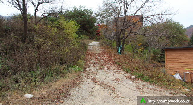 힐링캠프365 (운영안함)