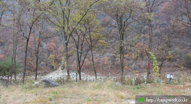 힐링캠프365 (운영안함)