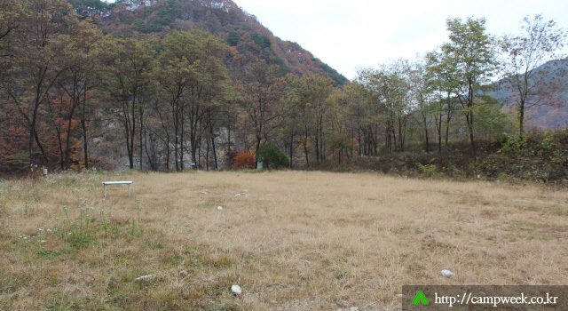 힐링캠프365 (운영안함)