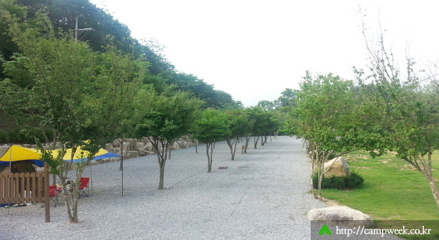 용화산 프라임캠핑장