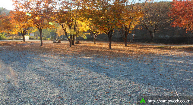 고드래미 캠핑장