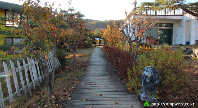 고드래미 캠핑장