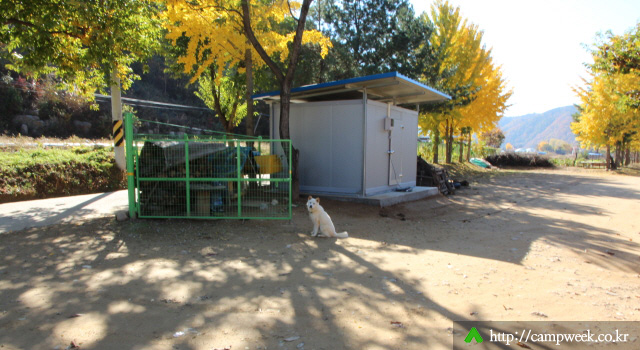 개야리88캠핑장