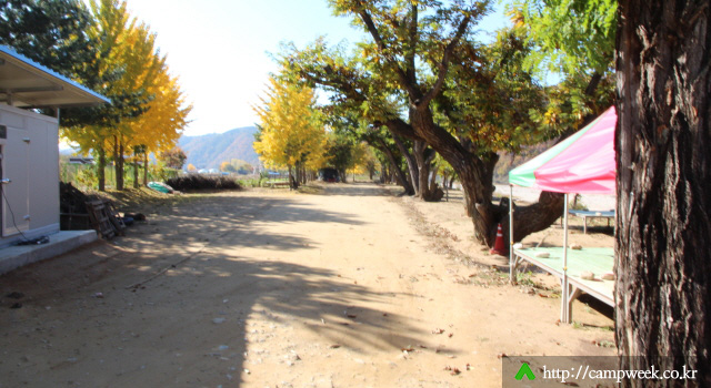 개야리88캠핑장