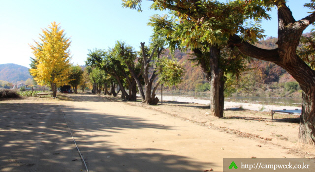 개야리88캠핑장
