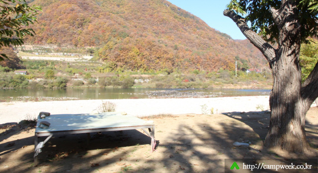 개야리88캠핑장