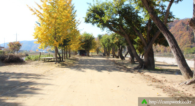 개야리88캠핑장