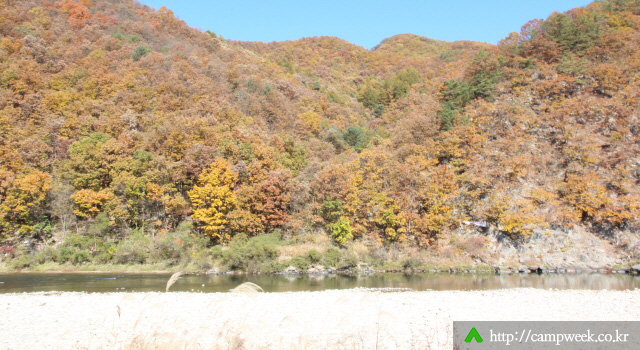 보리울오토캠핑장