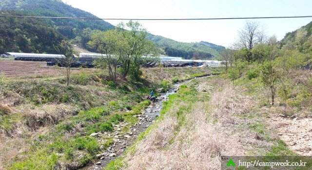 매화분교오토캠핑장