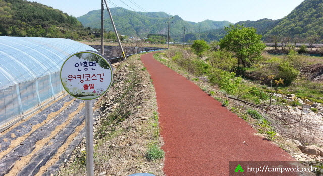 매화분교오토캠핑장