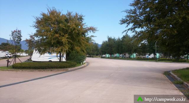 자라섬캠핑장