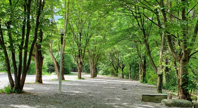 리스캐빈 리스캐빈