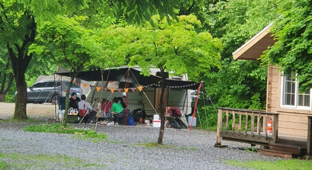 리스캐빈 리스캐빈