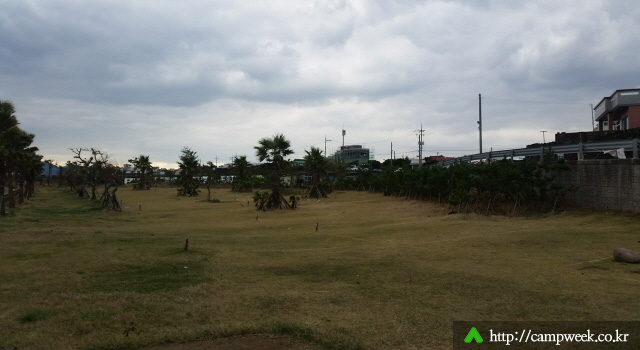 제주 함덕 서우봉 해변