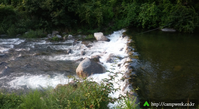 늘푸른쉼터 오토캠프장