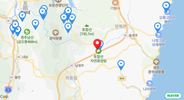 토함산 자연휴양림 야영장