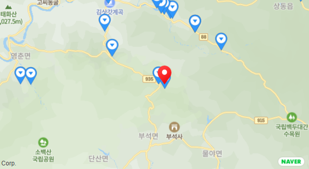 선달산 계곡 캠핑장