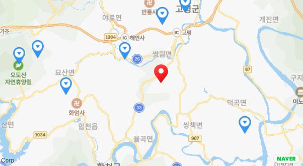 트리독스 애견전용 캠핑장