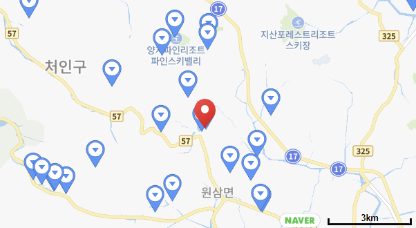 숲속에안뜰 캠핑장