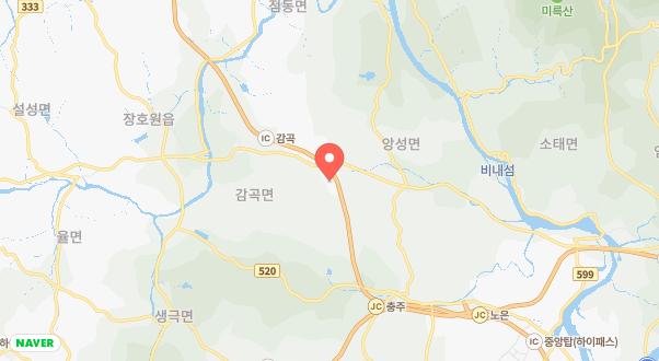 펫 트리파크